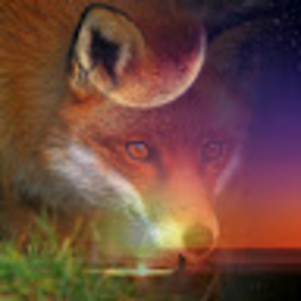 Meet your Posher, Jdogg133